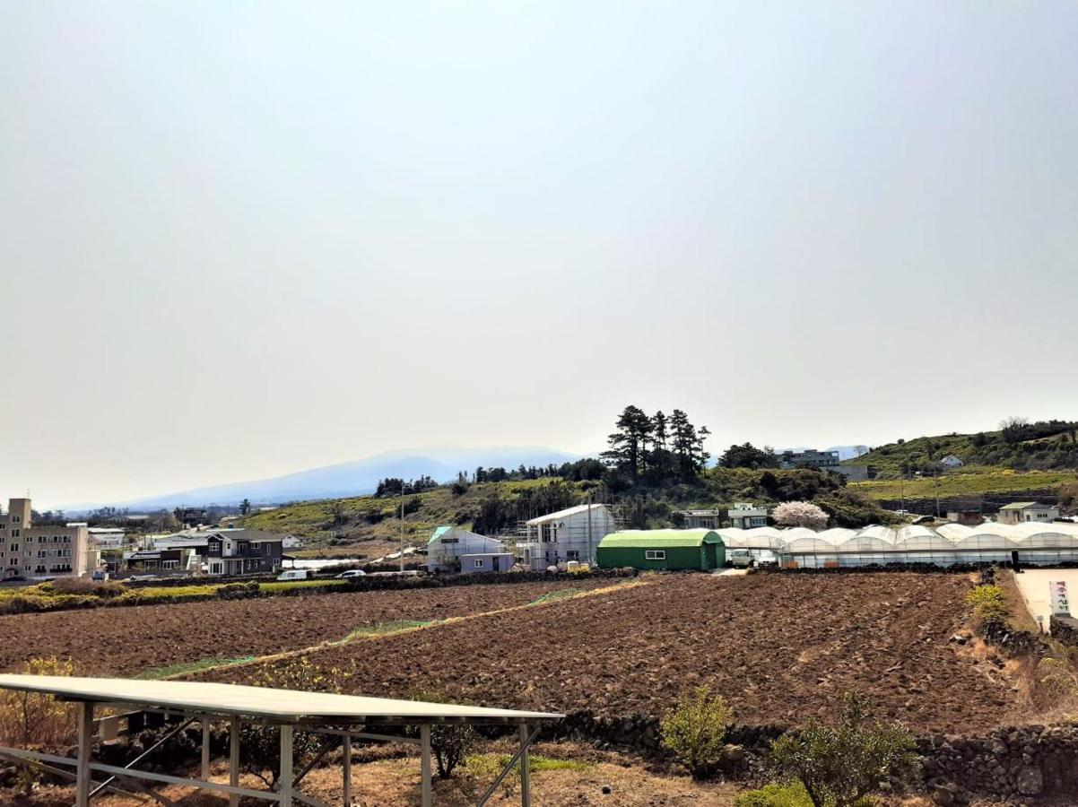Jeju Time-Travel Pension Exterior photo
